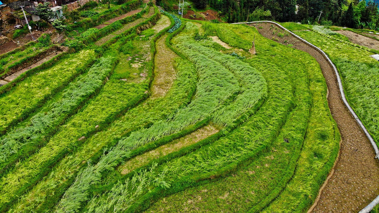 découvrez les droits des actionnaires minoritaires, leur protection juridique et comment faire valoir leurs intérêts au sein d'une entreprise.