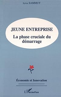 Jeune entreprise: La phase cruciale du démarrage